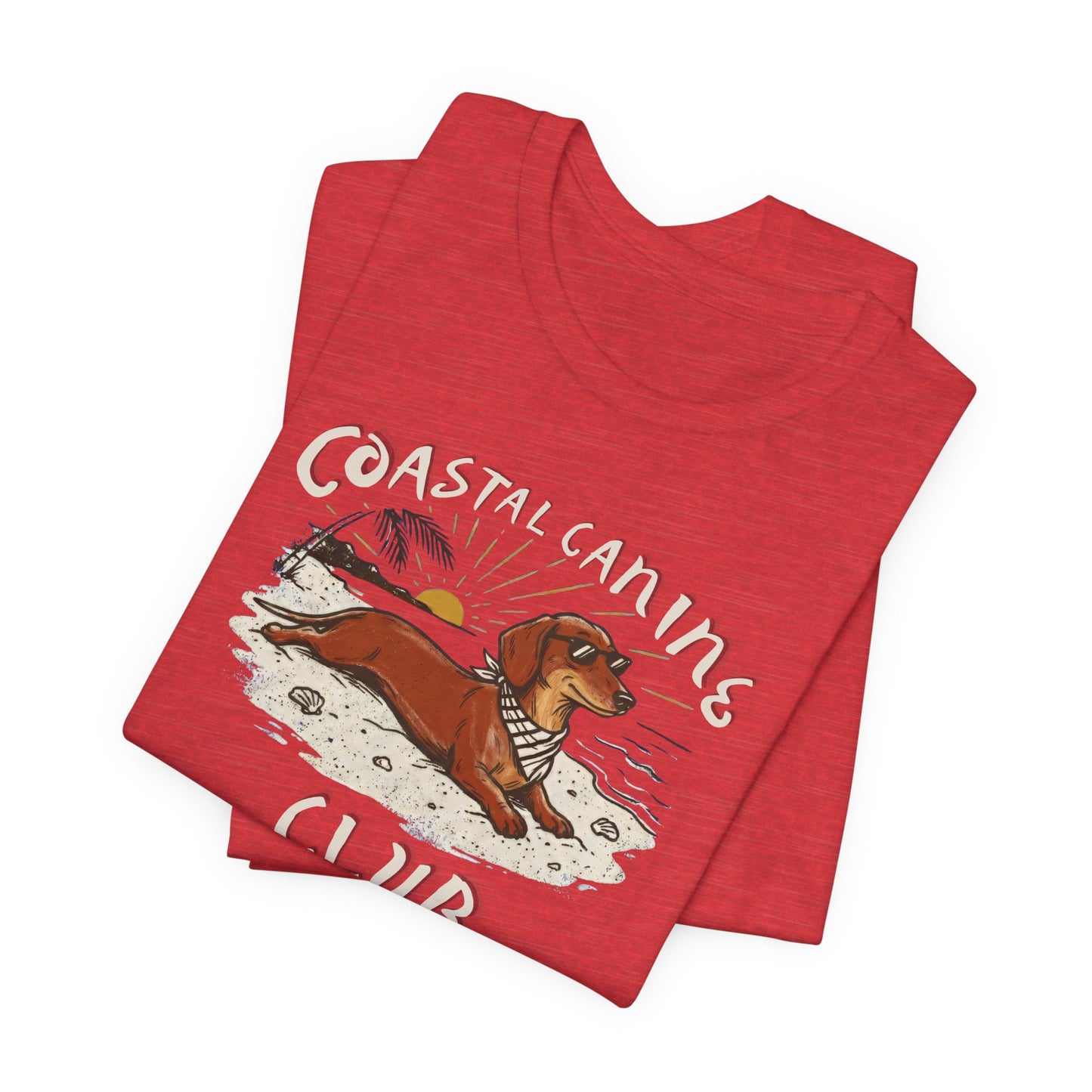 Coastal Canine Club Dachshund