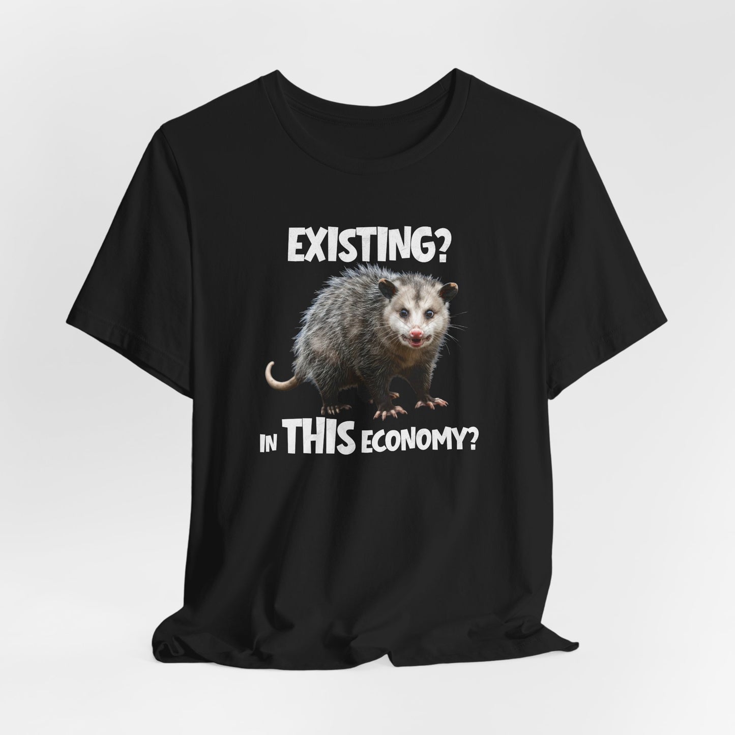 Existing in This Economy
