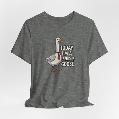 Today I'm a Serious Goose
