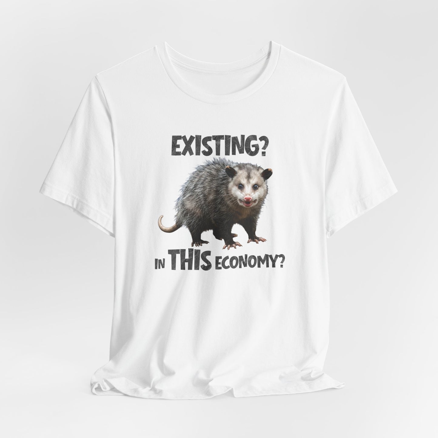 Existing in This Economy