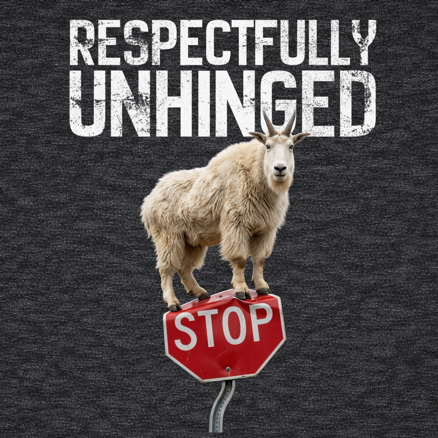 Respectfully Unhinged